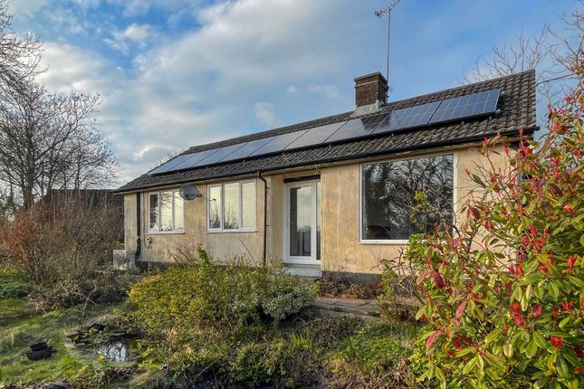 Bungalow for sale in Thornicombe Hill, Thornicombe