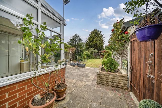 Rear Garden Angle 4