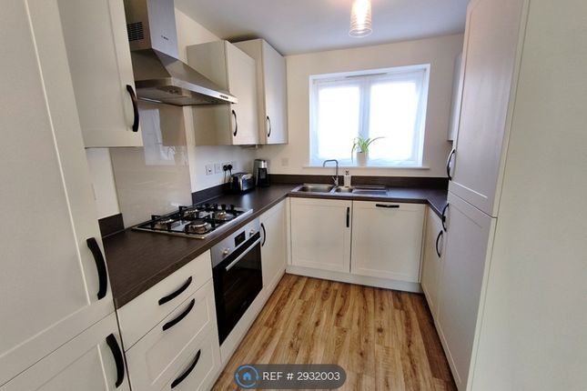Pintail Road, Doncaster photo 5