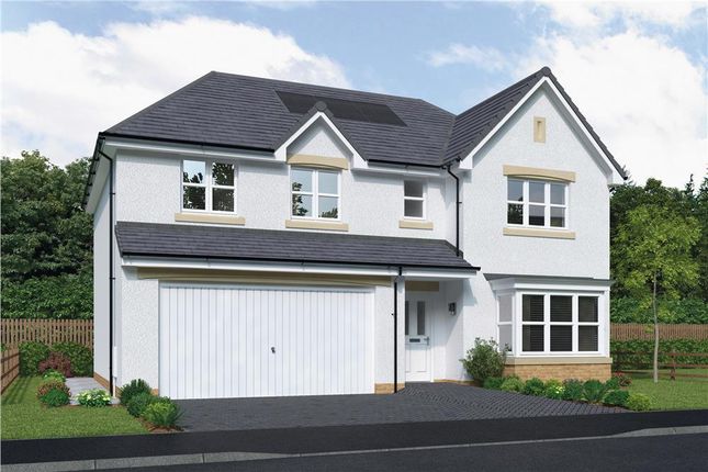 Thumbnail Detached house for sale in "Elmford" at Bartonshill Way, Uddingston, Glasgow