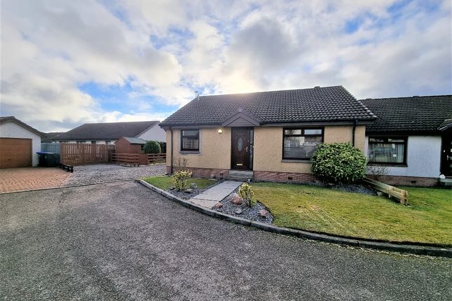 Thumbnail Detached house to rent in Alder Drive, Portlethen, Aberdeenshire