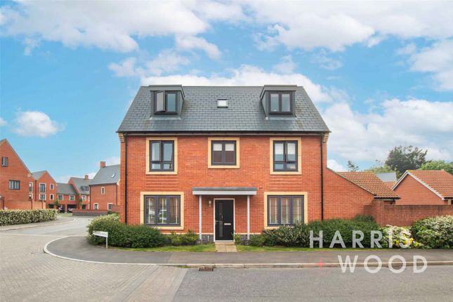 Thumbnail Detached house for sale in Wentworth Avenue, Colchester, Essex