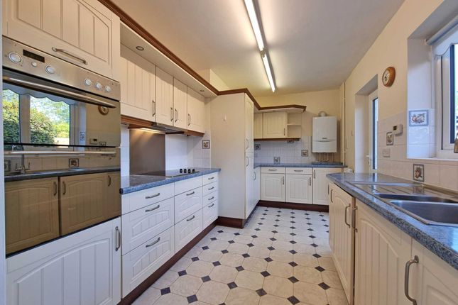 124, Westerfield Road, Ipswich photo 3