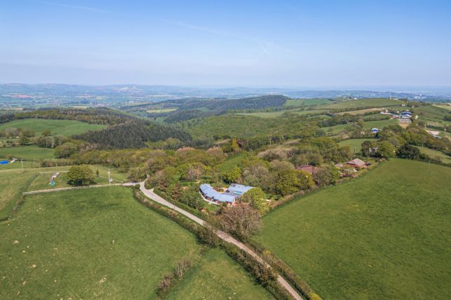 Aerial &amp; Views