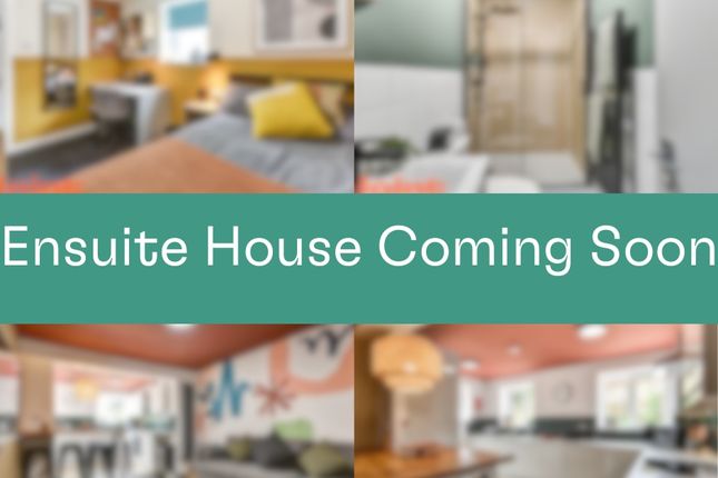 Bright, Modern Communal Lounge With Contemporary F...