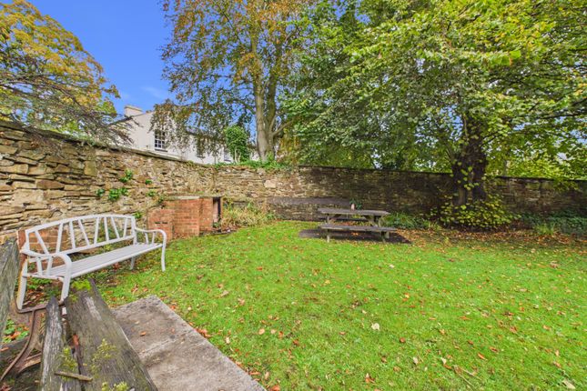 Hallam Chase, 64 Endcliffe Vale Road, Sheffield photo 4