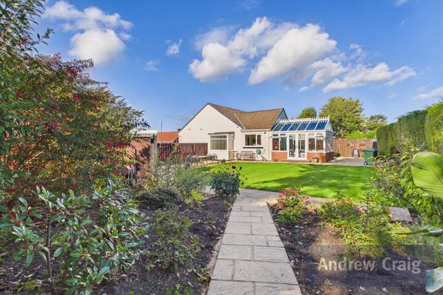 30 Ridley Grove, South Shields photo 4