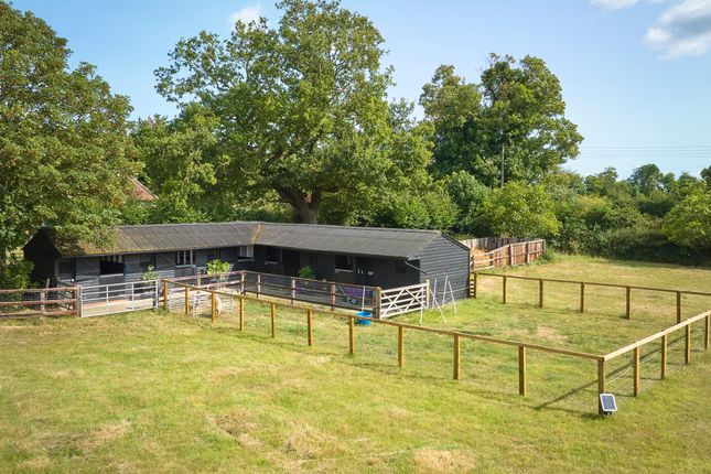 White House Stud, Warren Road, Newmarket photo 2