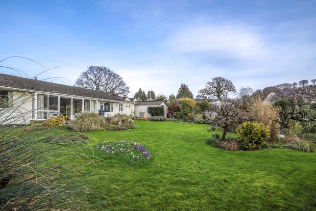 Thumbnail Detached bungalow for sale in Clifford Street, Chudleigh, Newton Abbot
