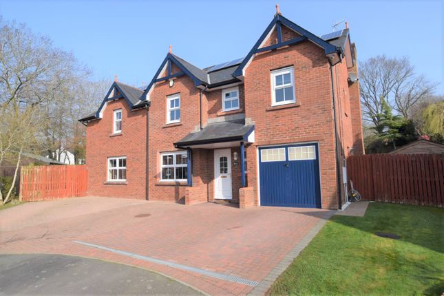 Thumbnail Detached house for sale in 16 Parkfoot Meadows, Dumfries