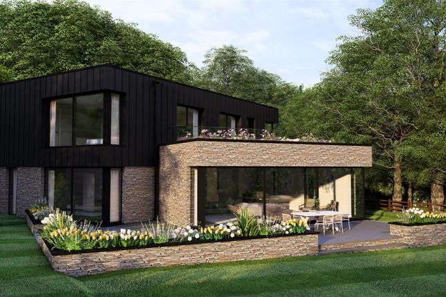 Black House - Rear.Jpg