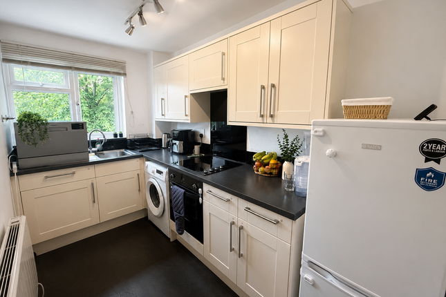 52, Orpington photo 2