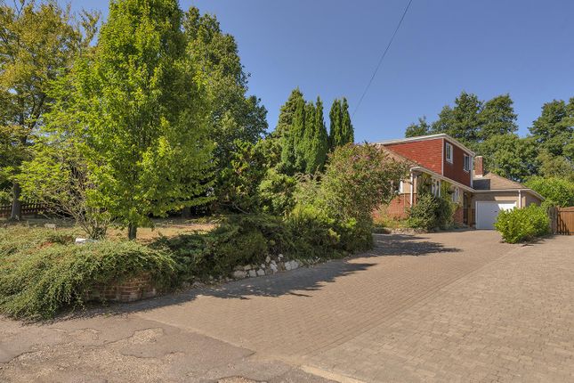 The Shelvings, Workhouse Lane, Maidstone photo 2