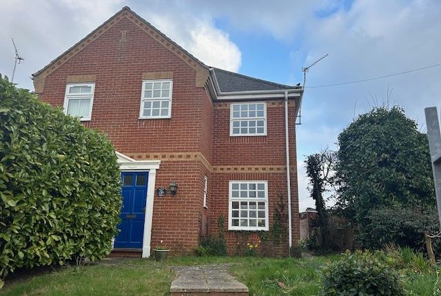 Thumbnail Semi-detached house to rent in Reedham Road, Acle, Norwich