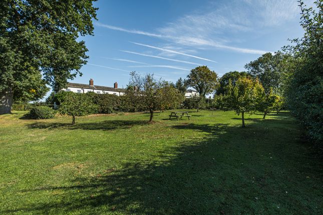 12 Norfolk Heights Sedgeford Road, King's Lynn photo 4
