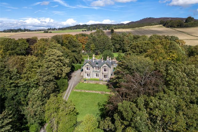 Pitpointie House, By Dundee photo 3