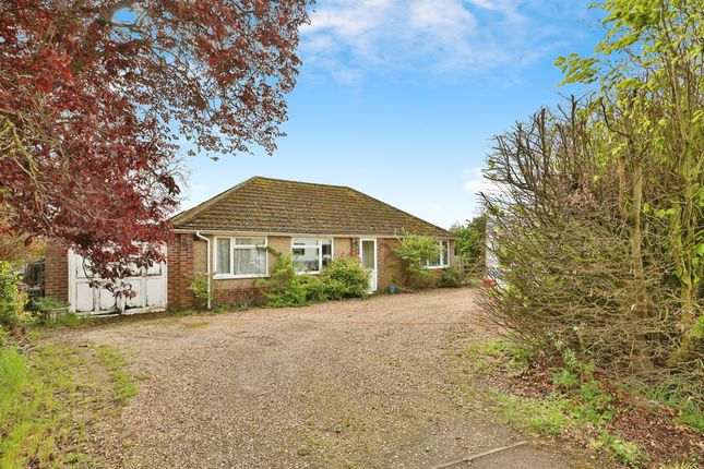 Thumbnail Detached bungalow for sale in Brecklands Green, North Pickenham, Swaffham