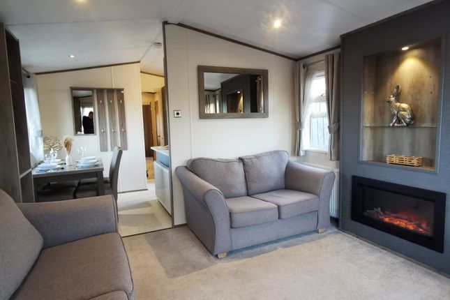 Wild Rose - Carnaby-Lifestyle-54970