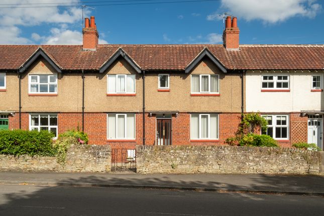 Thumbnail Terraced house for sale in Prior Terrace, Corbridge