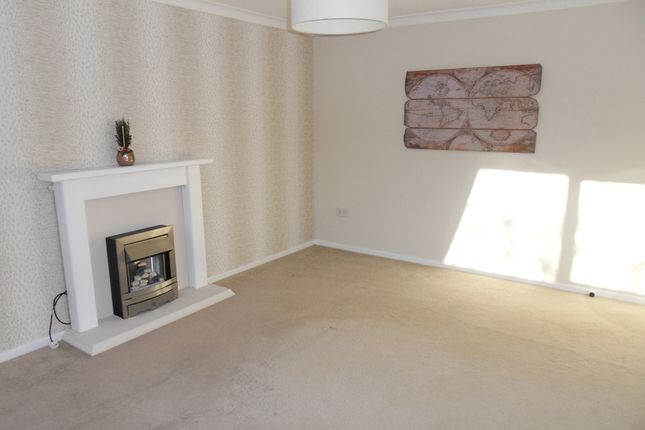 65, North Shields photo 4