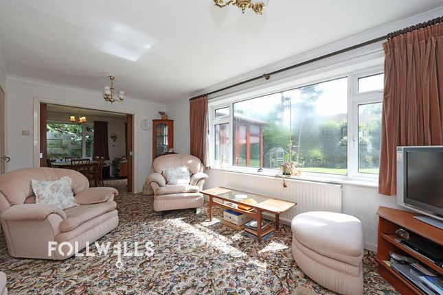 Torridons, Market Drayton photo 3