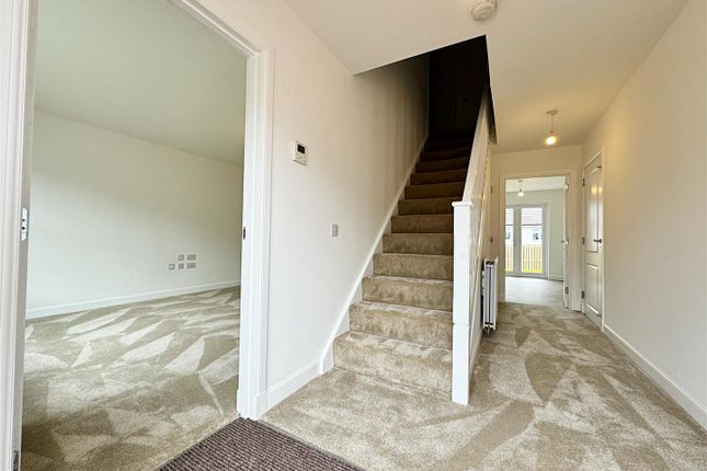 3, Kerry Grove, Hamilton photo 2
