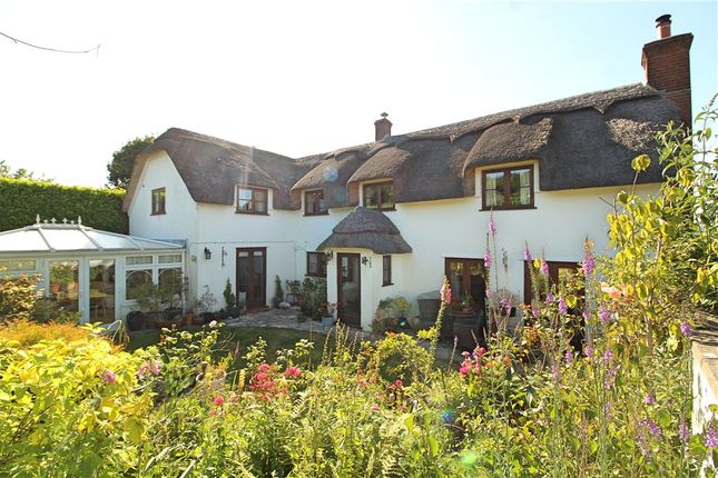 Thumbnail Detached house for sale in Whitchurch Canonicorum, Bridport, Dorset