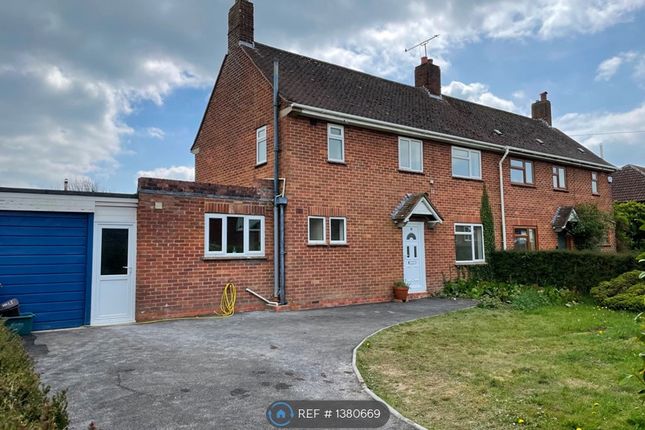 Thumbnail Semi-detached house to rent in Crookhays, Shaftesbury