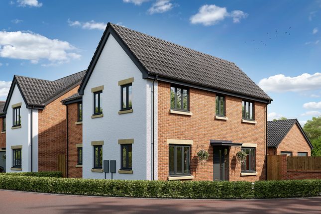 Thumbnail Detached house for sale in "The Seacombe" at Lipwood Way, Wynyard, Billingham