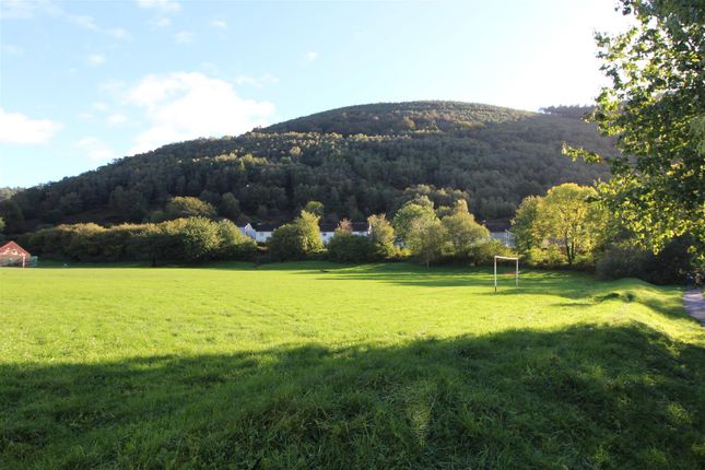 Feeder Row, Cwmcarn photo 2