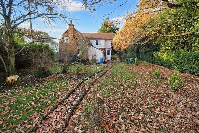 Property for sale in Colchester Main Road, Alresford