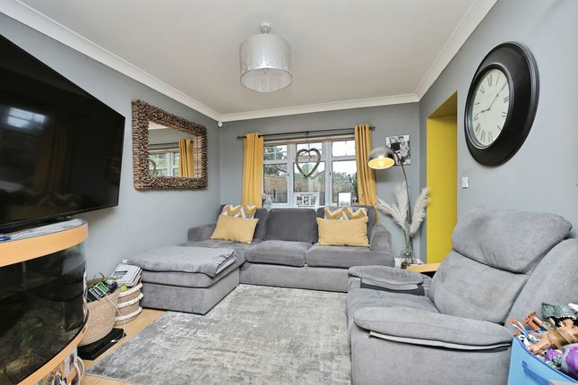 Harvey Lane, Norwich photo 3
