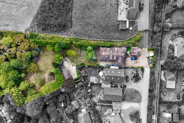 Bush Road, 8 Drone Shots-010 B&amp;W2.Jpg