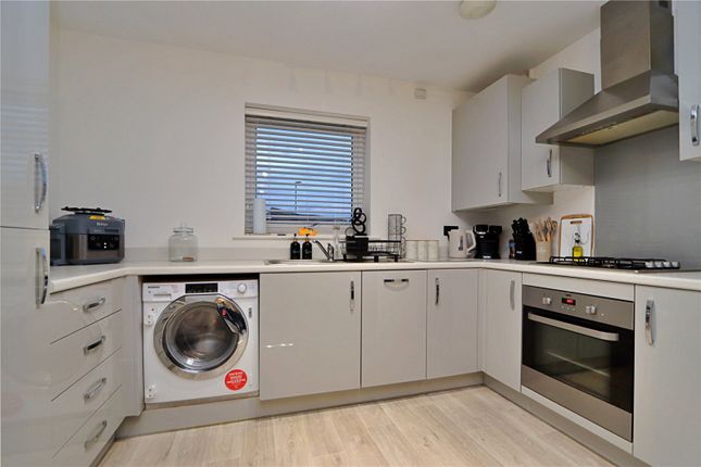 Flat 2, 17, Longhorn Drive, Whitehouse photo 3