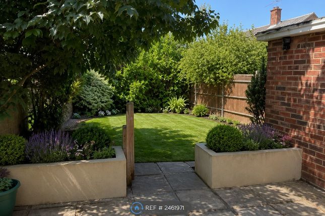 Spruce Avenue, Colchester photo 4