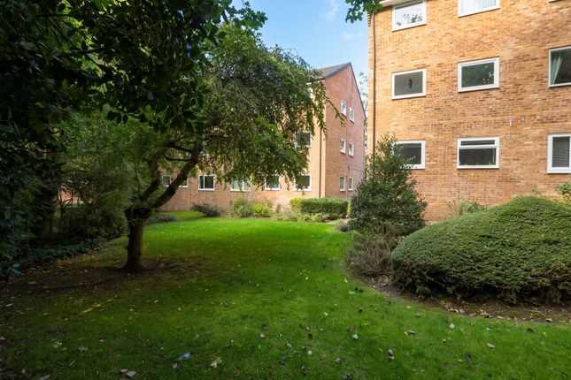 Flat 5, 6 Queen Victoria Road, Sheffield photo 4