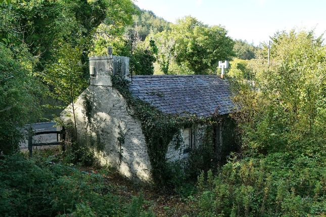 Pinfold Cottage,Lezayre, Ramsey photo 4