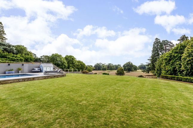 Garden And Views