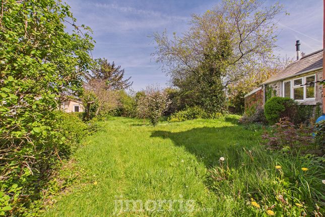 Awelon Plasyfron, Fishguard photo 3