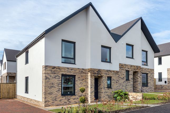 Thumbnail Semi-detached house for sale in Oliphant, Show Home, Viewforth Gardens, Kirkcaldy