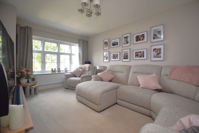 6, Reed Bed Close, Bridgwater photo 3