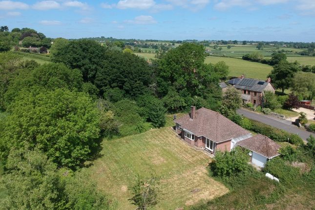Thumbnail Detached bungalow for sale in North Cheriton, Templecombe, Somerset