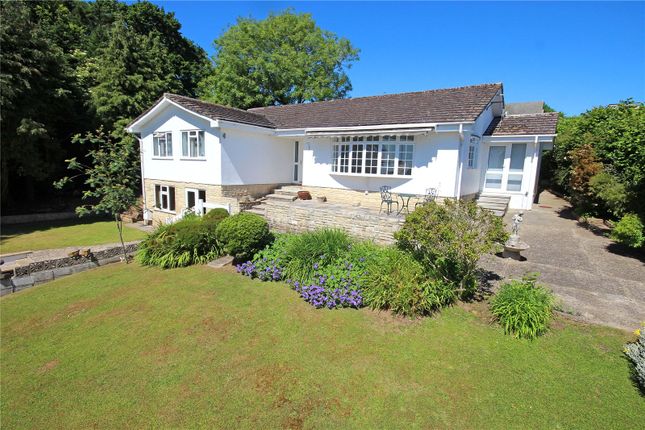 Thumbnail Bungalow for sale in Couchill Lane, Seaton