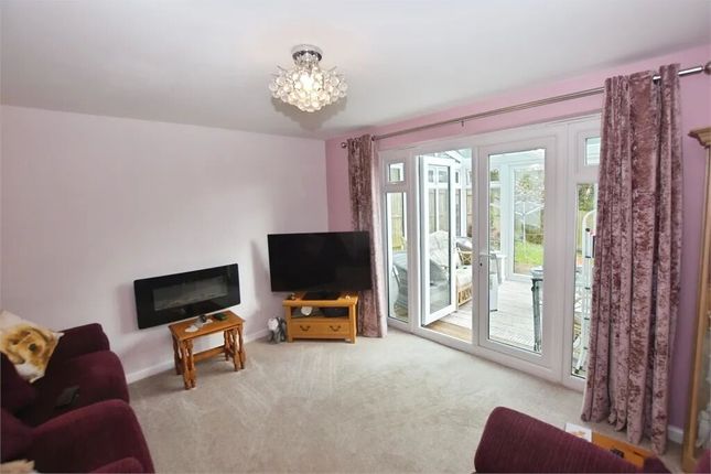 15, Hockmore Drive, Newton Abbot photo 4