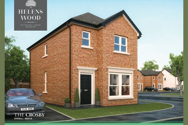 Thumbnail Detached house for sale in Site 249- The Crosby Helens Wood, Rathgael Road, Bangor