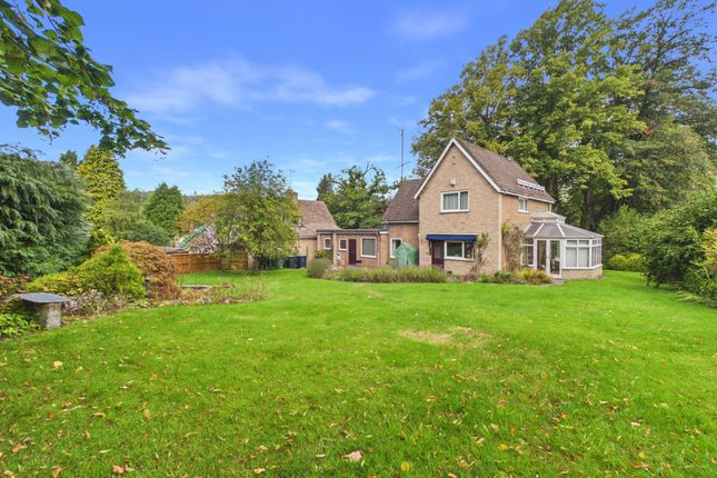 107 Derby Road, Matlock photo 3