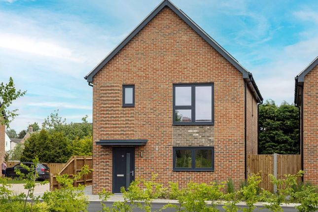 The Garnett, Number 66