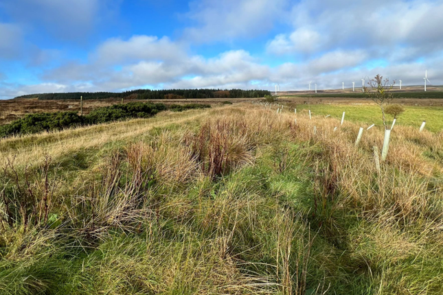 Land for sale in Midclyth, Lybster