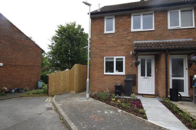 Thumbnail Property to rent in Queintin Road, Swindon