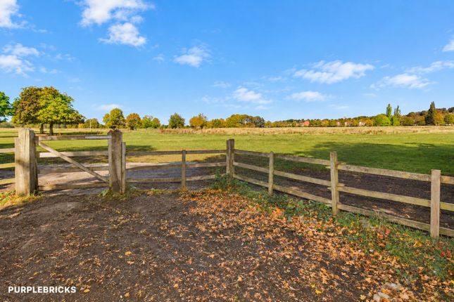 Rosebery Avenue, Lincoln photo 4